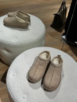 Tatiana bamsesko lysebrun